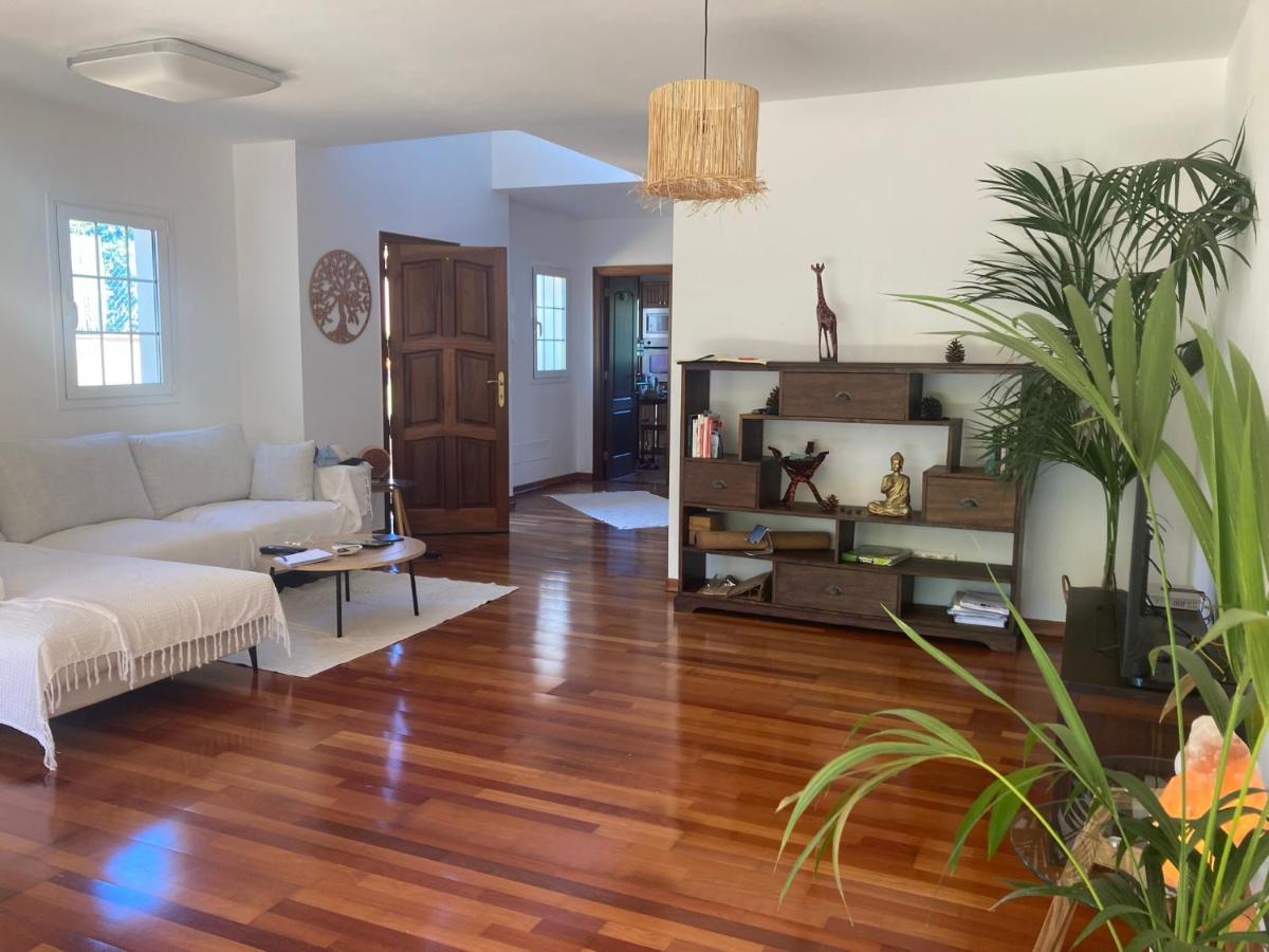 Xanadu Coliving Hotell Santa Úrsula Eksteriør bilde